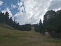 Sloop grass nature wilderness wildlife forest fires clouds sky