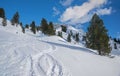 Slope with deep powder snow and tracks from skiing or snowboard