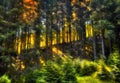 Slope in the forest Royalty Free Stock Photo