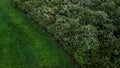 slope garden with heather near concrete sidewalk zigzagging with park.