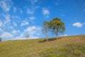 Slope of hill beside camping area of Doi Samer Dao in Nan province, Thailand