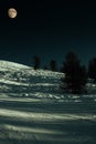 Slope in Moonlight