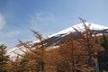 Slope of Mount Fuji