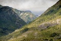 Meadow on the slope of the mountain