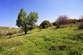 Slope of mountain Meron Royalty Free Stock Photo