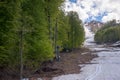 The slope of the mountain, trees, lift.