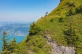 Slope of Mt. Rigi in Switzerland in summer Royalty Free Stock Photo