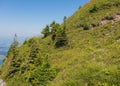 Slope of Mt. Rigi in Switzerland in summer Royalty Free Stock Photo