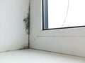 A slope near the window is a moisture fungus. Black mold covers a white wall. Royalty Free Stock Photo