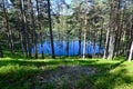 Slope of pine trunks down to blue water