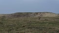 Slope of a small clay hill in a field in spring. Landscape