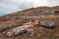 Slope with stones covered with red moss. Royalty Free Stock Photo