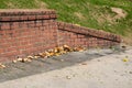 Sloped end piece of old brick retaining wall, concrete with magnolia leaves Royalty Free Stock Photo