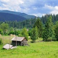 Slopes of mountains and coniferous trees . Rural landscape. Pict