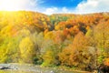 On the slopes of the mountains yellow forest and mountain river. Royalty Free Stock Photo