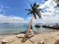 Sloping coconut trees on the beach, boats visible above the blue sea, beautiful sky, Kecinan Beach Lombok Indonesia