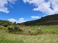 Tilted hills covered with grass Royalty Free Stock Photo