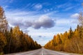 Asphalt road with yellow autumn forest on both sides and blue sky