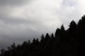 Sloping treeline in silhouette against a cloudy sky, Great Smoky Mountains Royalty Free Stock Photo