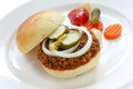 Sloppy joe Royalty Free Stock Photo