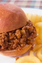 Sloppy Joe & Curly Fries Royalty Free Stock Photo