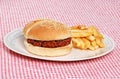 Sloppy Joe With French Fries Royalty Free Stock Photo