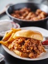 Sloppy joe sandwich on plate with french fries and ketchup Royalty Free Stock Photo