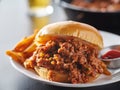Sloppy joe sandwich on plate with french fries and ketchup