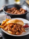 Sloppy joe sandwich on plate with french fries and ketchup Royalty Free Stock Photo