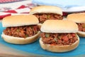 Sloppy Joes Royalty Free Stock Photo
