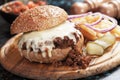 Sloppy joes ground beef burger sandwich