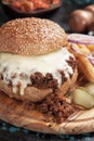 Sloppy joes ground beef burger sandwich Royalty Free Stock Photo