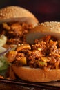 Sloppy Joes Sandwhich Dark and Moody Royalty Free Stock Photo