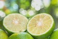 Sloseup Lime slice Royalty Free Stock Photo