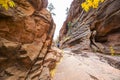 Slot canyon Royalty Free Stock Photo