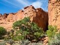 Slot canyon entrance Royalty Free Stock Photo