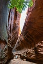 Slot canyon in Utah Royalty Free Stock Photo