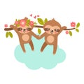 Sloth babies cling to each other s paws and hang on a tree branch