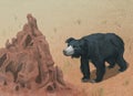 Sloth bear meets termite mound