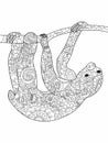 Sloth on a branch Coloring book raster for adults