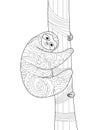 Sloth on a branch Coloring book vector for adults