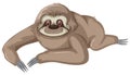 Sloth character on white background