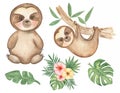 Sloth clipart. Watercolor Baby Sloth clip art, Tropical animal, Leaves Frame, Jungle Flower bouquet, Baby Shower, Kids Birthday Royalty Free Stock Photo