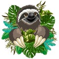 Sloth Cute Cartoon on Tropical Nature