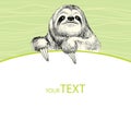 Sloth with empty card for your design