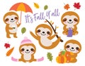 Cute Baby Sloth in Fall Autumn