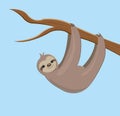 Sloth hanging on a branch Royalty Free Stock Photo