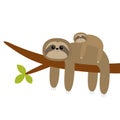 Sloth hanging on tree branch leaf. Cute cartoon kawaii funny lazy character. Mother and baby. Wild joungle animal collection. Kids Royalty Free Stock Photo