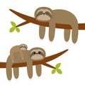 Sloth hanging on tree branch leaf. Cute cartoon kawaii funny lazy character set. Mother and baby. Wild joungle animal collection. Royalty Free Stock Photo