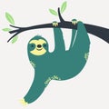 Sloth hanging on the tree. Royalty Free Stock Photo